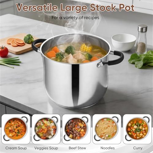 P&P CHEF 12 Quart Stainless Steel Stock Pot, Cooking Pot with Visible Lid