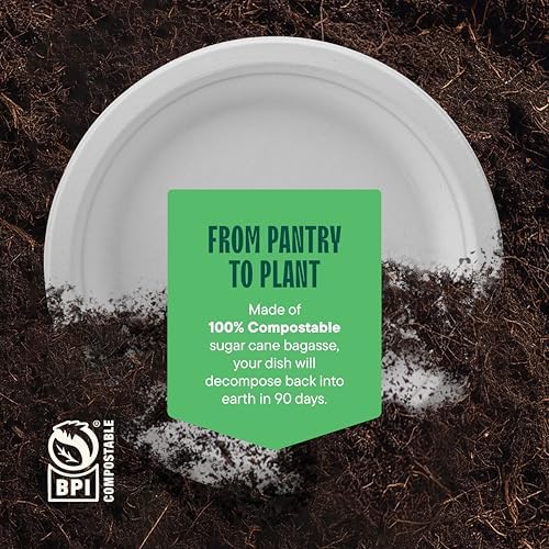 100% Compostable Disposable Paper Plates [125-Pack] - (PFAS-Free) - [10 Inch] Heavy Duty, Eco-Friendly, Biodegradable Bagasse Dinner Plates - Natural Brown 10" Plate by Stack Man (BPI Certified)