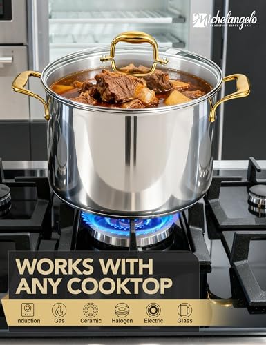 MICHELANGELO Stainless Steel Stock Pot - 20 Quart Soup Pot with Lid & Ergonomic Handle, Extra-Large Pots for Cooking, Suitable for All Stoves