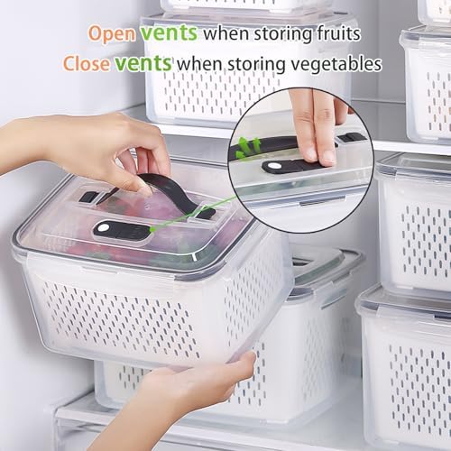 BOICHU Fruit Storage Containers for Fridge with Colander, Vent, Handle Lids