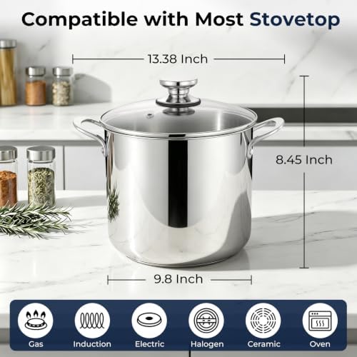 E-far 10QT Stainless Steel Stock Pot with Lid, Induction Cooking Pot