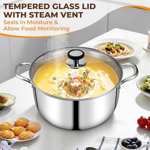 Tri-Ply Stainless Steel Stock Pot, 20 Quart Heavy Duty Induction Cooking Pot with Visible Lid for Pasta, Soup, Spaghetti, Sturdy & Double Handle, Dishwasher Safe