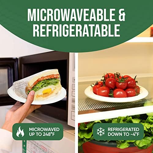 TaidMiao 6 inch Paper Plate 100 Pack Small Disposable, 100% Compostable
