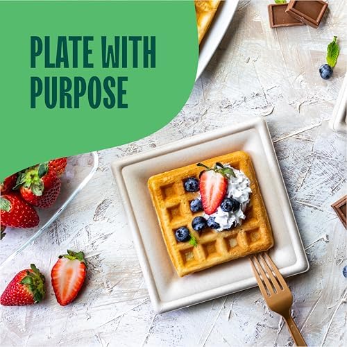 100% Compostable Square Paper Plates - 6 Inch [50-Pack] Heavy Duty