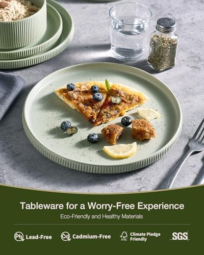 Famiware Star Stoneware Dinnerware Sets for 8, Reactive Glaze Plates, Bowls