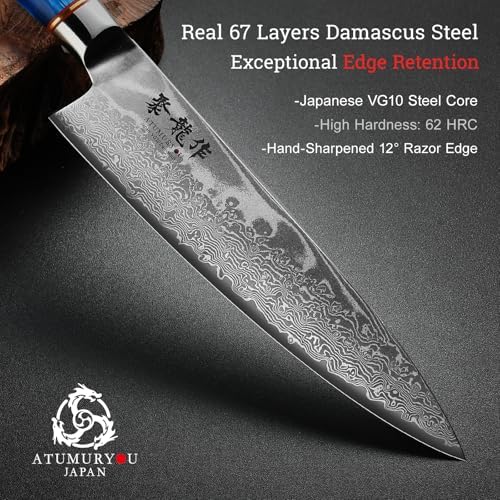 Japanese Chef Knife Set 3 Pcs, 67-Layer Damascus Kitchen Knife Set with VG10 Steel Core, Professional Sharp Damascus Knives with Ocean-Blue Ergonomic Handle, Include Elegant Cooking Gifts Box