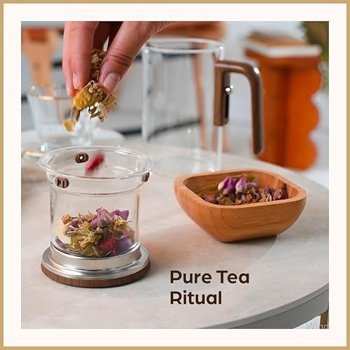 Magnetic Glass Infuser Tea Pot - Tea Brewer for Loose Tea - 20 oz
