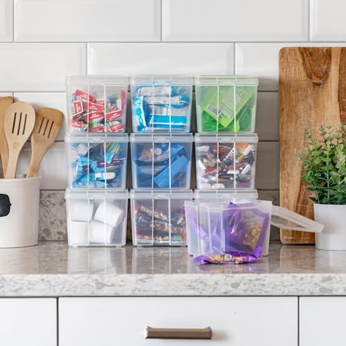 IRIS USA Flip Top Storage Containers |Made in USA| Small (10-Pack) - Clear