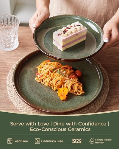 Pokini Stoneware Dinnerware Sets for 8, 24pcs Plates and Bowls Sets Dishes