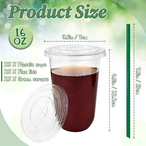 Qinsihwn 25 Set 16oz Plastic Cups with Flat Lids and Straws,Disposable Plastic Iced Coffee Cup,Disposable Clear Drinking Cups for Cold Beverages,Milkshakes,Smoothies