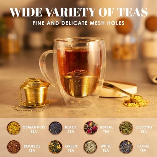 Tea Infuser Set of 2 with Tea Scoop & Drip Trays, Loose Leaf Tea Strainer