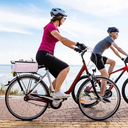 RAYMACE Bike Rear Rack Bag, Bike Trunk Cooler Bag