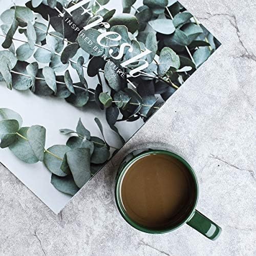 Bosmarlin Glossy Ceramic Coffee Mug, Tea Cup for Office and Home, 18 oz, Suitable for Dishwasher and Microwave(Dark Green, 2)