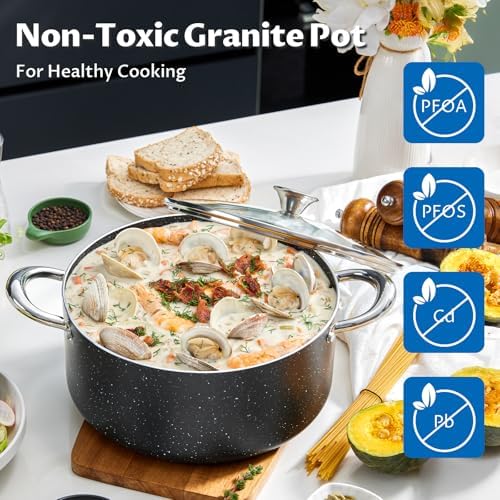 BEZIA 6 Quart Nonstick Stock Pot with Lid, Induction Cooking Pot for Soup