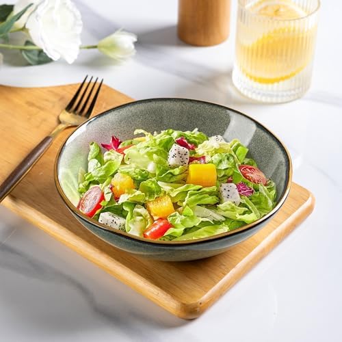 AmorArc Ceramic Cereal Bowls Set of 6, 24 oz Handmade Stoneware Bowls Set for Cereal Soup Salad, Stylish Kitchen bowls for Meal, Dishwasher & Microwave Safe