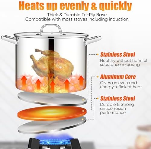 E-far 16 Quart Stainless Steel Pot, Induction Stockpot with Glass Lid