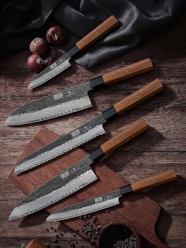 HOSHANHO 5 Pieces Knife Set, 10CR15MOV High Carbon Steel Chef Knife Set