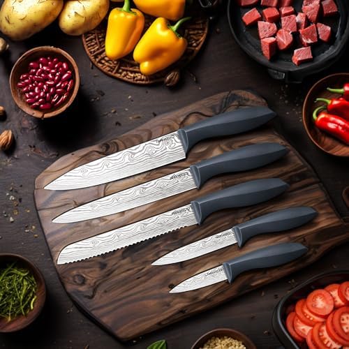 RAXCO Kitchen Knife Set,10-Piece Stainless Steel Knife Set with Block,Gray