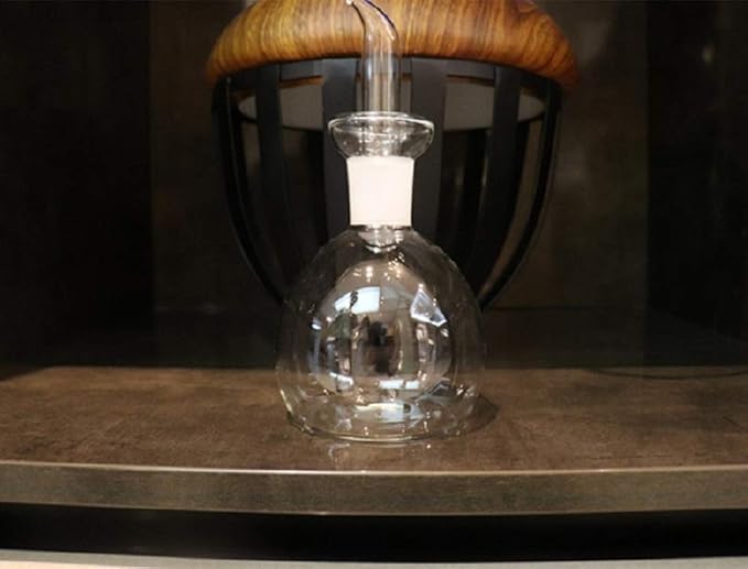 HAIZEEN 18 oz / 540 ml Glass All-Purpose Cruet, Glass Oil Decanter and Cruet (Spherical-18 oz)