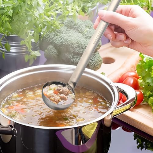 Meekoo 1 Pieces Stainless Steel Ladles with Pouring Rim Long Handle,1 Oz