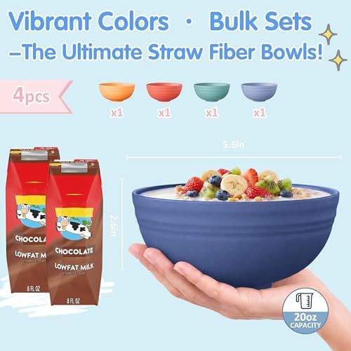 Quatish 4 PCS Cereal Bowls, Plastic Bowls, Small Snack Soup Kitchen Bowl