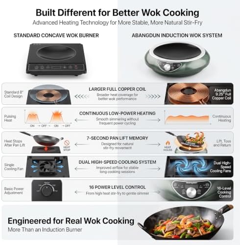 1700W Induction Wok, 120V Electric Wok Burner, Stainless Steel Wok