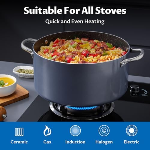 BEZIA 12 Quart Nonstick Stock Pot with Lid, Large Induction Cooking Pot