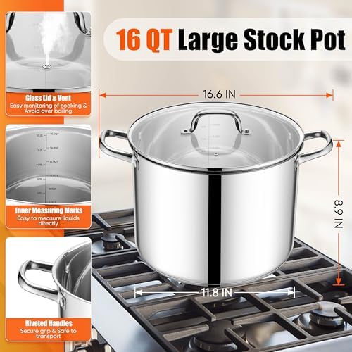 E-far 16 Quart Stainless Steel Pot, Induction Stockpot with Glass Lid