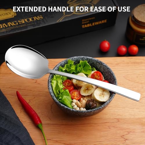 4 Piece Serving Spoons Set, 9.2-Inch Includes 4 Large Spoons
