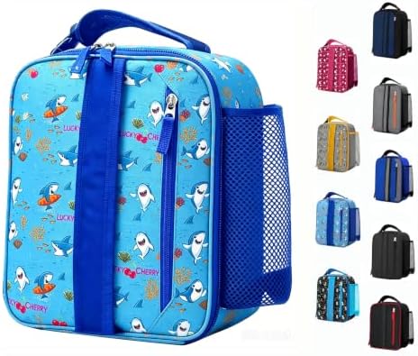 Lunch Box Kids,Cute Cartoon Insulated Lunch bag for Kids Boys Girls Portable Lightweight Small Lunchbox Special Design for school Picnic Outdoor