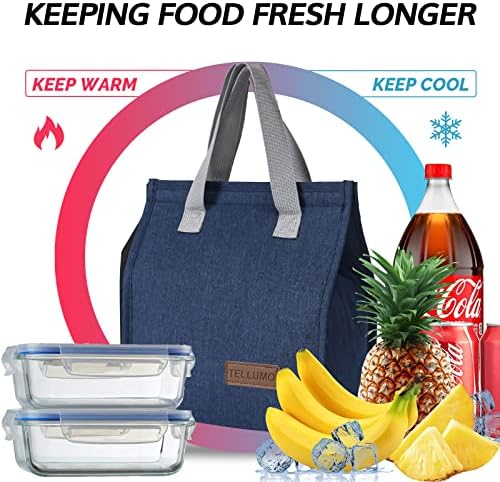 TELLUMO Insulated Lunch Bag for Men Women, Large Reusable Leakproof Lunch Box Container, Small Portable Thermal Snack Bag, Reusable Travel Office Work Beach Cooler Tote Bag for Adults, Blue