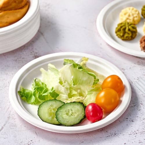 Vplus 350 Pack Compostable Bagasse Paper Plates 6.9 inch, White