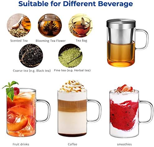 ecooe 16.9oz Glass Tea Cup with Infuser and Lid 430ml(Use Capacity), Clear