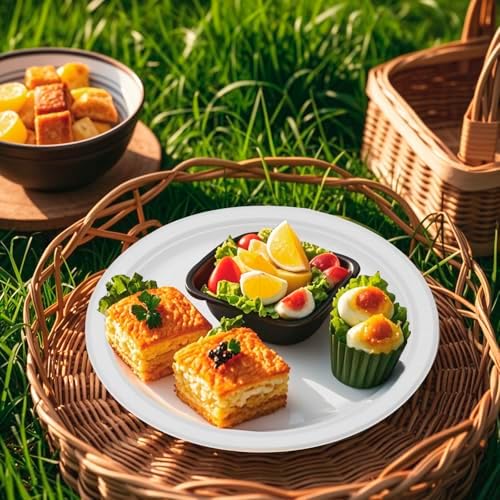 RACETOP Compostable 10 Inch [125 Pack] Paper Plates