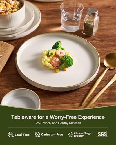 Famiware Star Stoneware Dinnerware Sets with Pasta Bowls, 24pc Dishes for 6