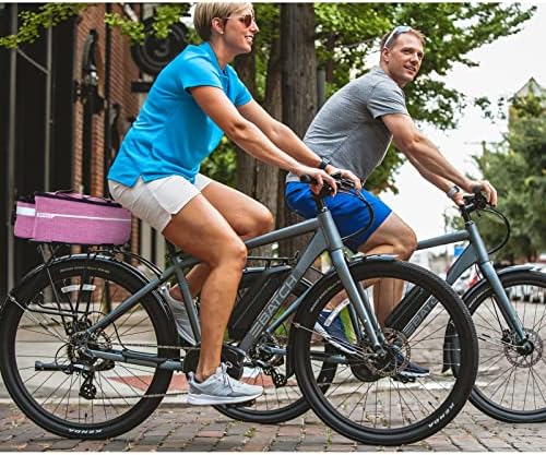 RAYMACE Bike Rear Rack Bag, Bike Trunk Cooler Bag