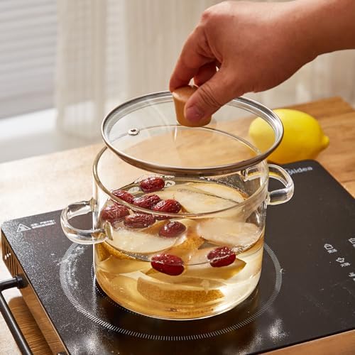 64 oz Glass Stew Pot with Tempered Glass Lid - Heat-Resistant Borosilicate Glass Stovetop Stew Pot - 1.9 L Clear Stew Pot for Pasta and Soups - Microwave and Dishwasher Safe