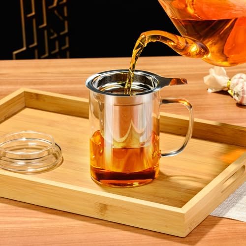 PARACITY Tea Mug with Infuser and Lid, 15 oz Clear Borosilicate Tea Cup