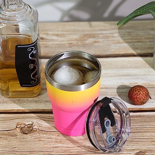 BJPKPK 10 oz Mini Tumbler with Lid, Straw & Handle, Insulated Steel Cup