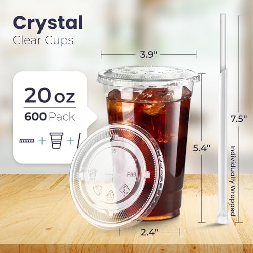 Fit Meal Prep 600 Pack 20 oz Plastic Iced Coffee Cups with Flat Lids and Clear Straws, Disposable Clear Cup, BPA Free Cup for Party, Smoothie, Cold Drinks, Juice, Milkshake, Bubble Boba, Tea