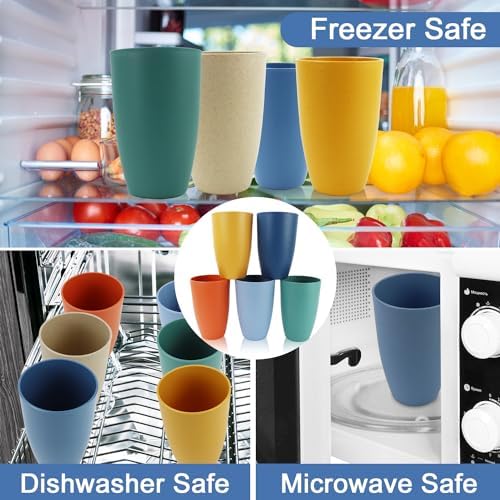 20 OZ Wheat Straw Cups, Large Plastic Cups Set of 6 (Multicolor)