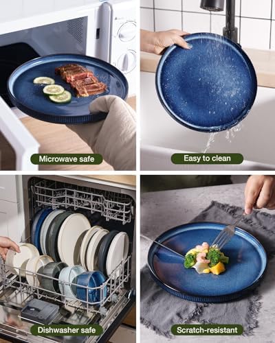 Famiware Star Stoneware Dinnerware Sets for 8, Reactive Glaze Plates, Bowls