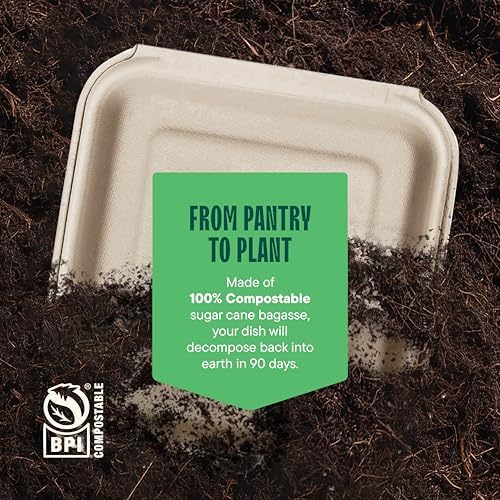 100% Compostable Clamshell Take Out Containers - 8x8 [100-Pack] Heavy Duty