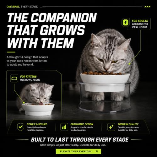 LivLab Mker Elevated Cat Bowls, Tilted Melamine, White, 2 Pack