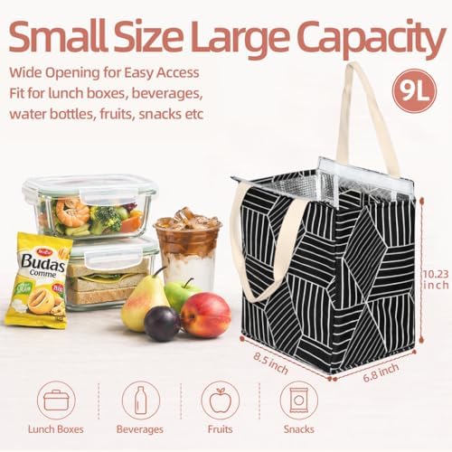 iknoe 9L Insulated Lunch Bag for Men & Women, Leak-Resistant Black