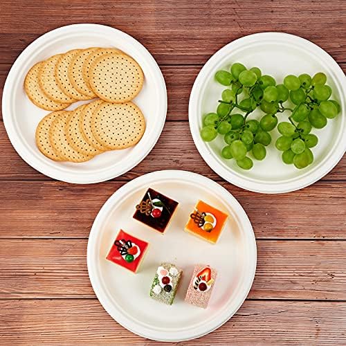 Vplus 150 Pack Compostable Bagasse Paper Plates 10.25 inch, White