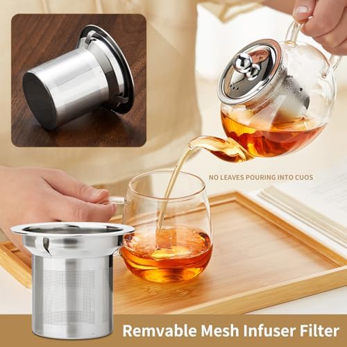 DOPUDO Small Glass Teapot with Infuser, 18 oz 530ml Borosilicate Tea Kettle