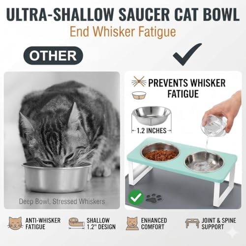 Summark Upgraded Elevated Cat Bowls with Food Mat,15°Tilted Stand Anti Vomiting Raised Cat Dishes for Food and Water,2 Stainless Steel Bowls for Cats and Puppy（Teal）