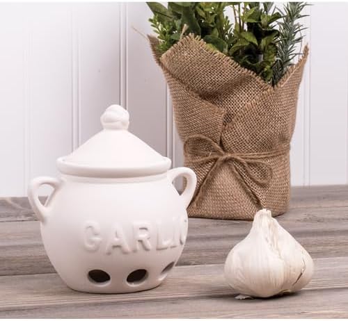 Fantes Garlic Keeper, Unglazed Earthenware Ceramic, The Italian Market Original since 1906