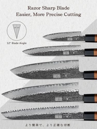 HOSHANHO 5 Pieces Knife Set, 10CR15MOV High Carbon Steel Chef Knife Set